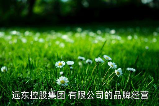  遠(yuǎn)東控股集團(tuán) 有限公司的品牌經(jīng)營