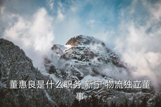 董惠良是什么職務(wù) 新寧 物流獨立董事