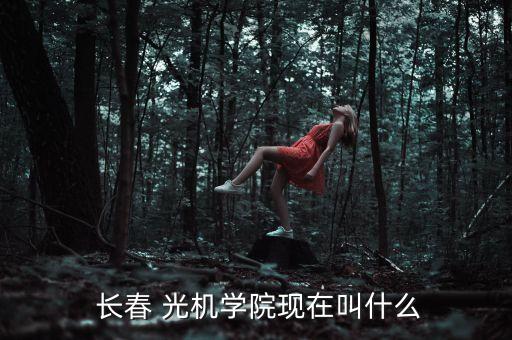  長(zhǎng)春 光機(jī)學(xué)院現(xiàn)在叫什么