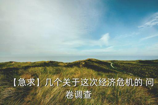 【急求】幾個關于這次經(jīng)濟危機的 問卷調(diào)查