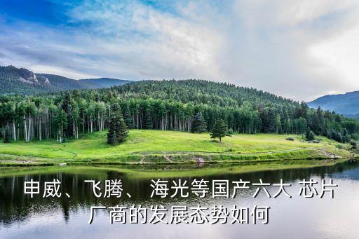 申威、飛騰、 海光等國產(chǎn)六大 芯片廠商的發(fā)展態(tài)勢如何