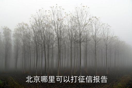 北京互聯(lián)網金融中心大廈,北京平安金融中心大廈地址