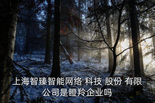 上海智臻智能網絡 科技 股份 有限公司是瞪羚企業(yè)嗎