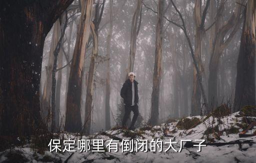 寶碩集團破產(chǎn),寶碩型材集團最新消息