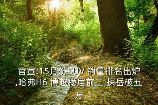 吉利博越公司預(yù)期銷量