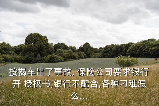 保險公司進一步授權