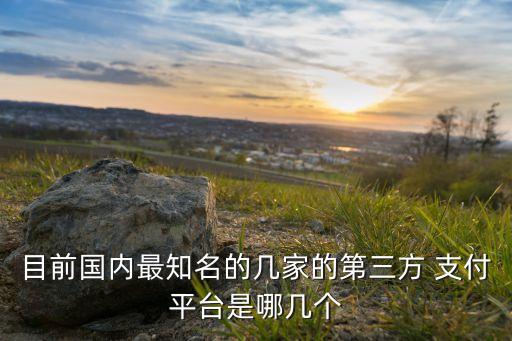 目前國內最知名的幾家的第三方 支付平臺是哪幾個