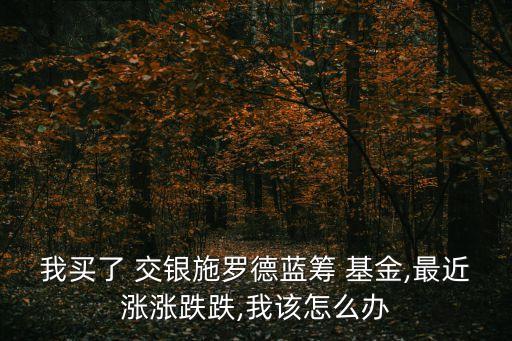 我買(mǎi)了 交銀施羅德藍(lán)籌 基金,最近漲漲跌跌,我該怎么辦