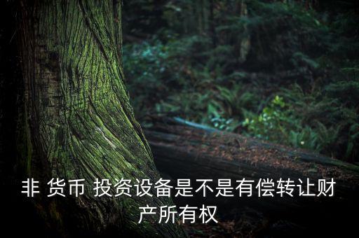 非 貨幣 投資設備是不是有償轉(zhuǎn)讓財產(chǎn)所有權(quán)