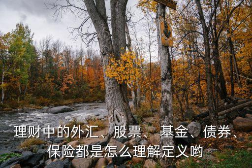 理財(cái)中的外匯、股票、 基金、債券、保險(xiǎn)都是怎么理解定義喲