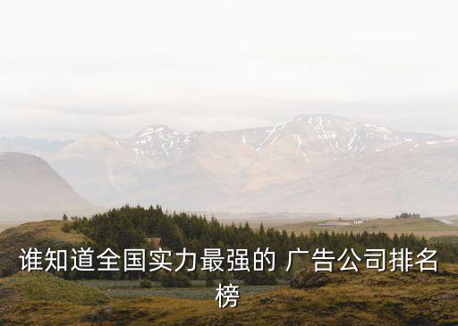 誰(shuí)知道全國(guó)實(shí)力最強(qiáng)的 廣告公司排名榜