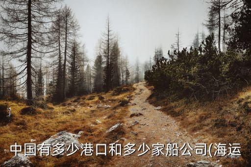 中國(guó)有多少港口和多少家船公司(海運(yùn)