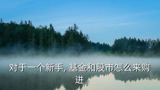 對于一個新手, 基金和股市怎么來購進(jìn)