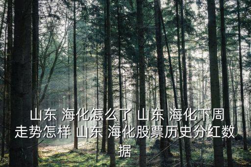 山東海化集團(tuán)有限公司財務(wù)部