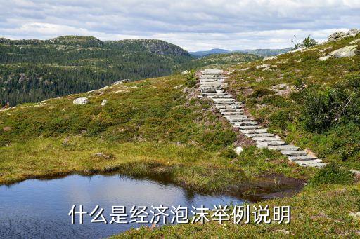 什么是經(jīng)濟泡沫舉例說明