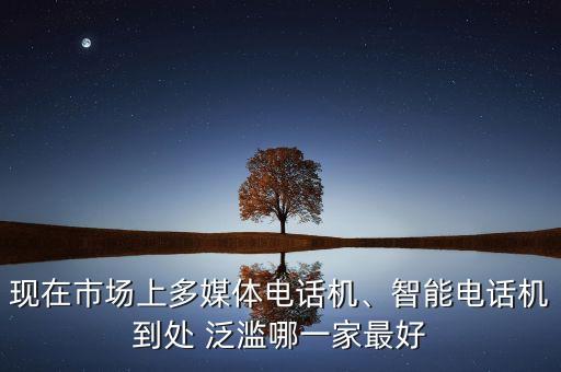 現(xiàn)在市場(chǎng)上多媒體電話機(jī)、智能電話機(jī)到處 泛濫哪一家最好