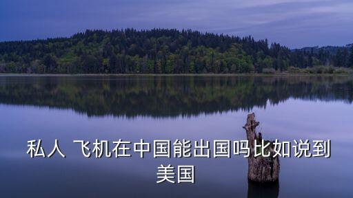  私人 飛機(jī)在中國(guó)能出國(guó)嗎比如說(shuō)到美國(guó)