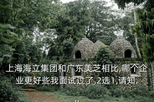 上海海立集團和廣東美芝相比,哪個企業(yè)更好些我面試過了,2選1,請知...