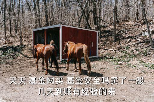 天天 基金網(wǎng)買(mǎi) 基金安全嗎賣(mài)了一般幾天到賬有經(jīng)驗(yàn)的來(lái)