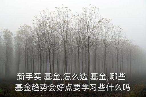 新手買 基金,怎么選 基金,哪些 基金趨勢(shì)會(huì)好點(diǎn)要學(xué)習(xí)些什么嗎