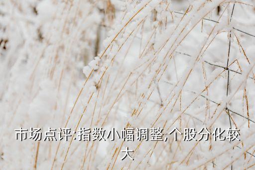 市場點(diǎn)評(píng):指數(shù)小幅調(diào)整,個(gè)股分化較大