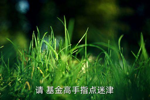 請 基金高手指點(diǎn)迷津