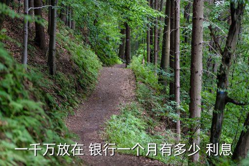 一千萬放在 銀行一個(gè)月有多少 利息