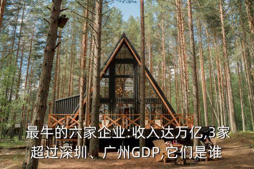  最牛的六家企業(yè):收入達萬億,3家超過深圳、廣州GDP,它們是誰