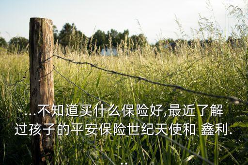 ...不知道買(mǎi)什么保險(xiǎn)好,最近了解過(guò)孩子的平安保險(xiǎn)世紀(jì)天使和 鑫利...