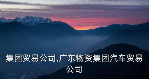 龍頭集團貿易公司,廣東物資集團汽車貿易公司