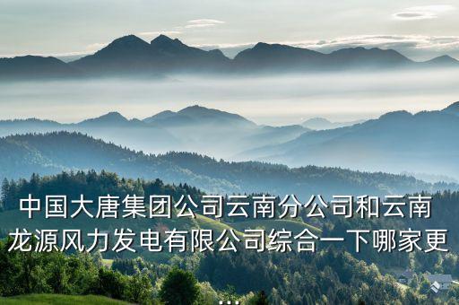 中國大唐集團(tuán)公司云南分公司和云南 龍源風(fēng)力發(fā)電有限公司綜合一下哪家更...