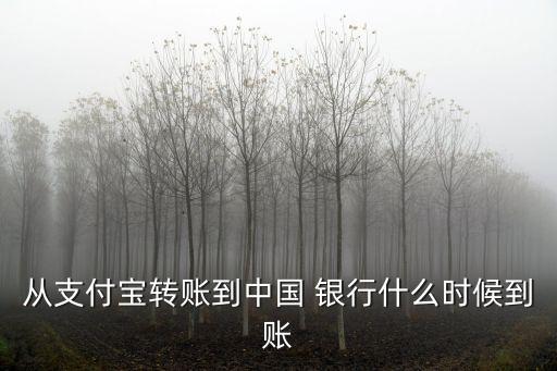 從支付寶轉(zhuǎn)賬到中國 銀行什么時候到賬