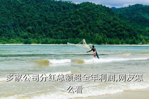 多家公司分紅總額超全年利潤(rùn),網(wǎng)友怎么看
