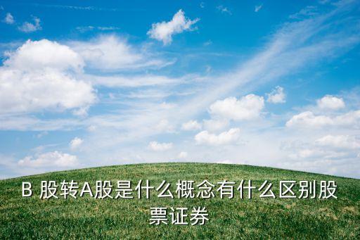 b股轉a股有哪些公司,哪些是a股哪些是b股