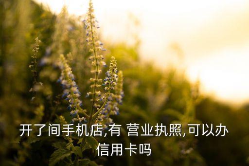 開(kāi)了間手機(jī)店,有 營(yíng)業(yè)執(zhí)照,可以辦信用卡嗎