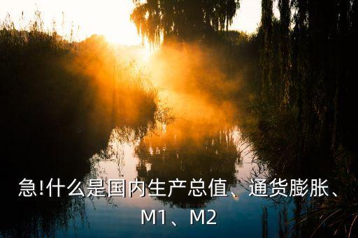 急!什么是國內(nèi)生產(chǎn)總值、通貨膨脹、M1、M2