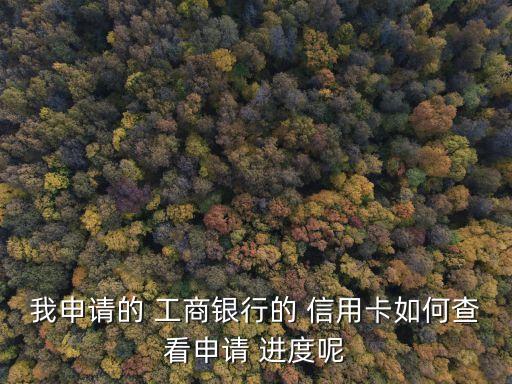 工商銀行信用卡如何查詢辦卡進度