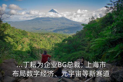 ...丁耘為企業(yè)BG總裁; 上海市布局?jǐn)?shù)字經(jīng)濟、元宇宙等新賽道