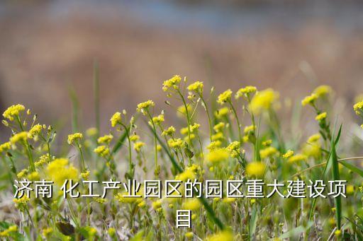 濟南 化工產業(yè)園區(qū)的園區(qū)重大建設項目