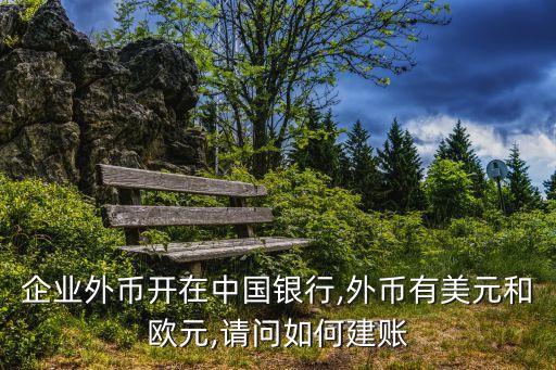 中國(guó)公司開(kāi)美金,在中國(guó)可以開(kāi)美金賬戶嗎