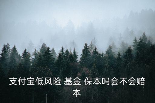 支付寶低風(fēng)險(xiǎn) 基金 保本嗎會不會賠本