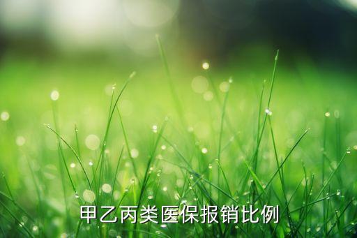 甲乙丙類(lèi)醫(yī)保報(bào)銷(xiāo)比例