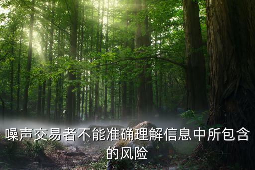 噪聲交易者不能準(zhǔn)確理解信息中所包含的風(fēng)險