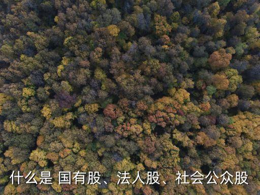 什么是 國有股、法人股、社會(huì)公眾股