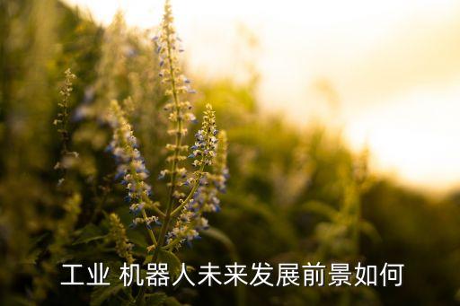 中國工業(yè)機(jī)器人的需求最新預(yù)計