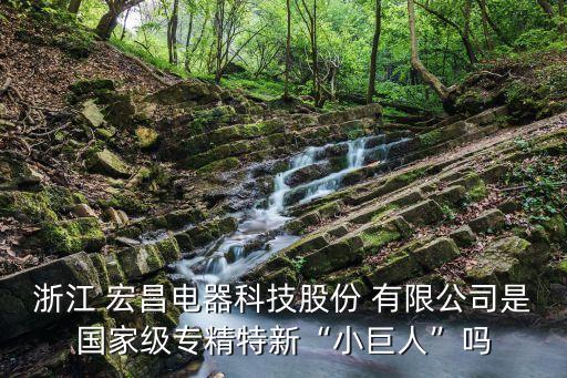 浙江 宏昌電器科技股份 有限公司是國家級(jí)專精特新“小巨人”嗎