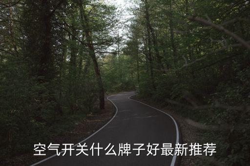 空氣開(kāi)關(guān)什么牌子好最新推薦
