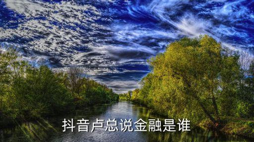抖音盧總說金融是誰(shuí)