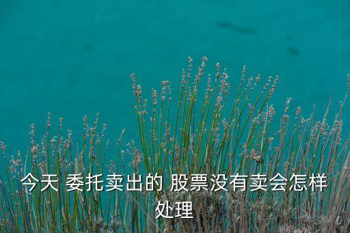 股票委托單撤銷(xiāo)后果,股票的委托單是不是第二天自動(dòng)撤銷(xiāo)