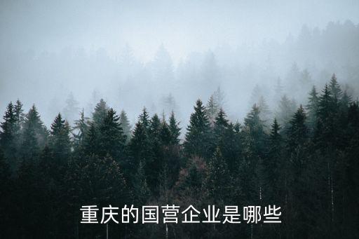 重慶三峽銀行屬于國(guó)有嗎,重慶銀行和三峽銀行哪個(gè)安全